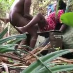 Desi Couple In Jungle Sex