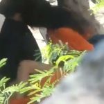 Desi Sigh Sex In Park
